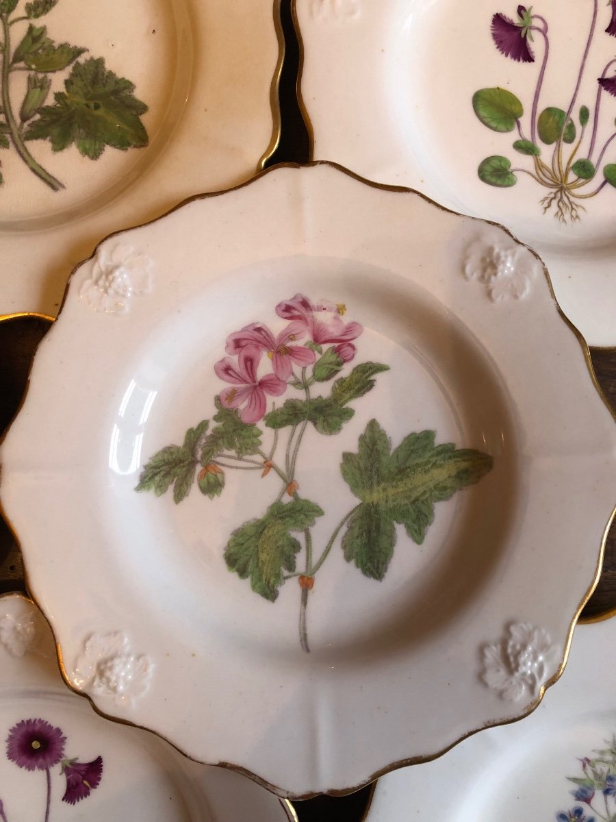 Série de 8 Assiettes en Porcelaine,Angleterre,XIXème Siècle -photo-3
