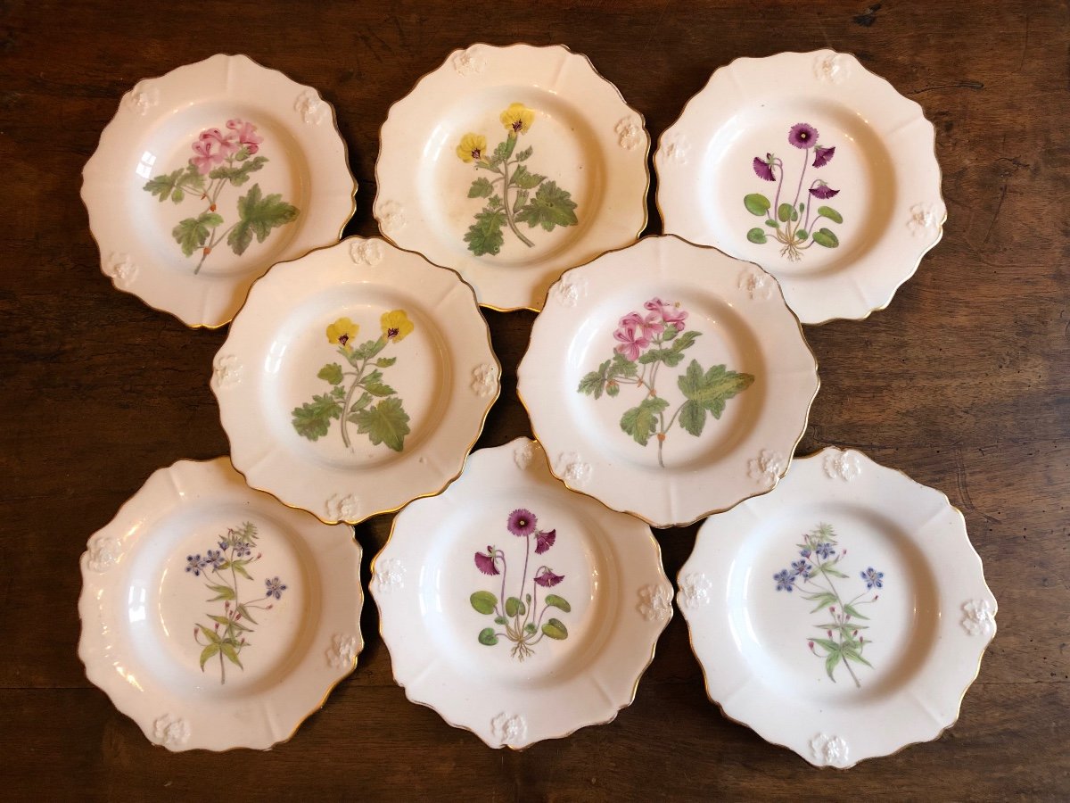 Série de 8 Assiettes en Porcelaine,Angleterre,XIXème Siècle 