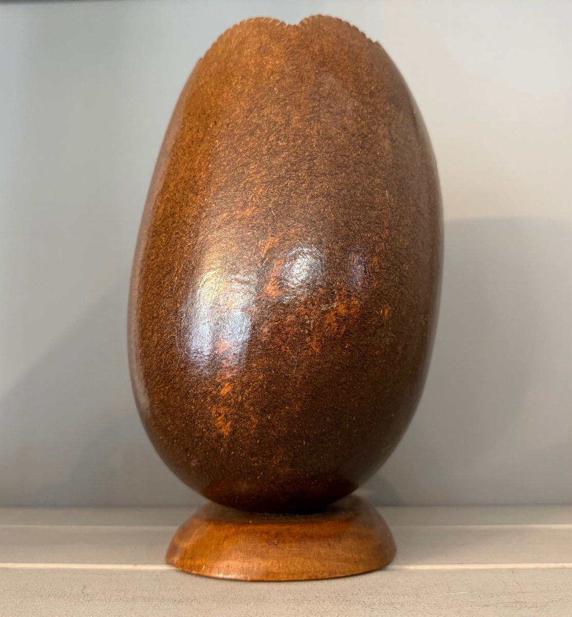 Cocofesse,porte couverts,fin XIX ème siècle -photo-2