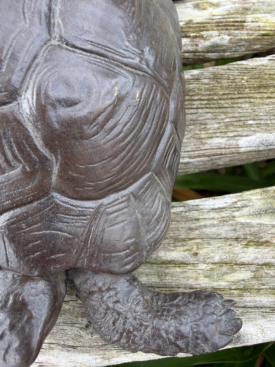 Bronze tortue,XIX ème siècle -photo-2