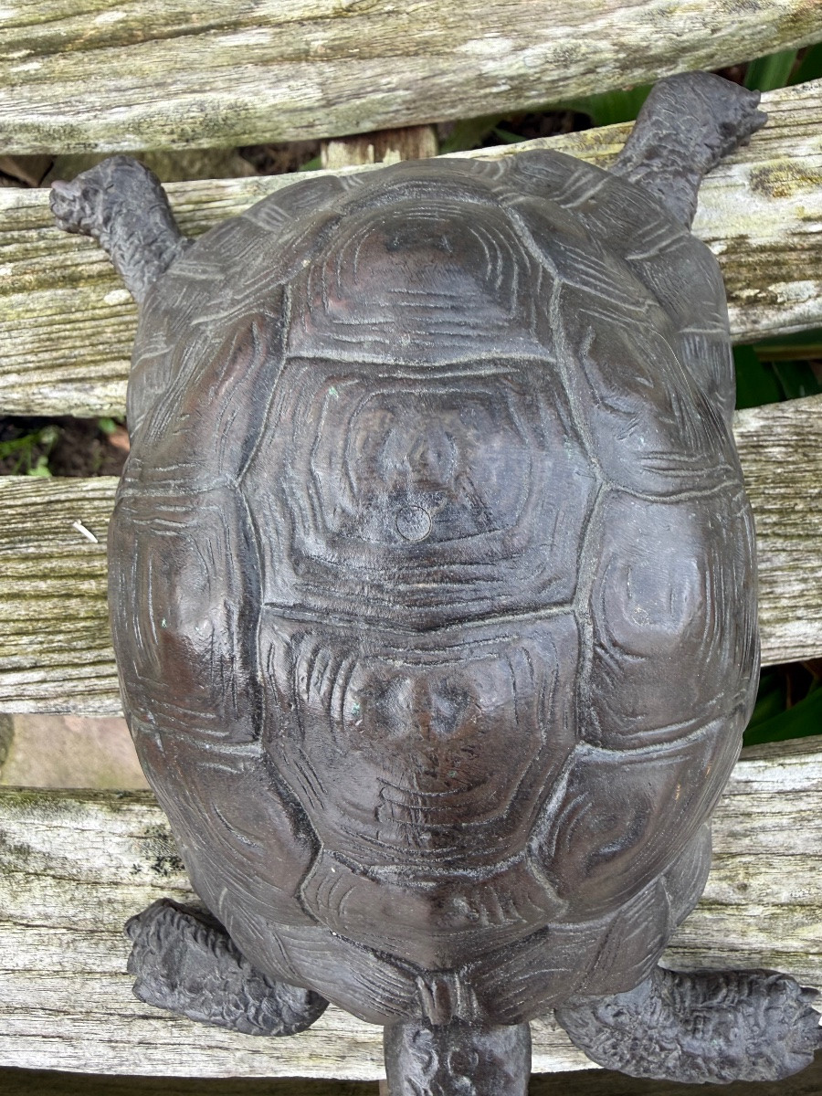Bronze tortue,XIX ème siècle -photo-4