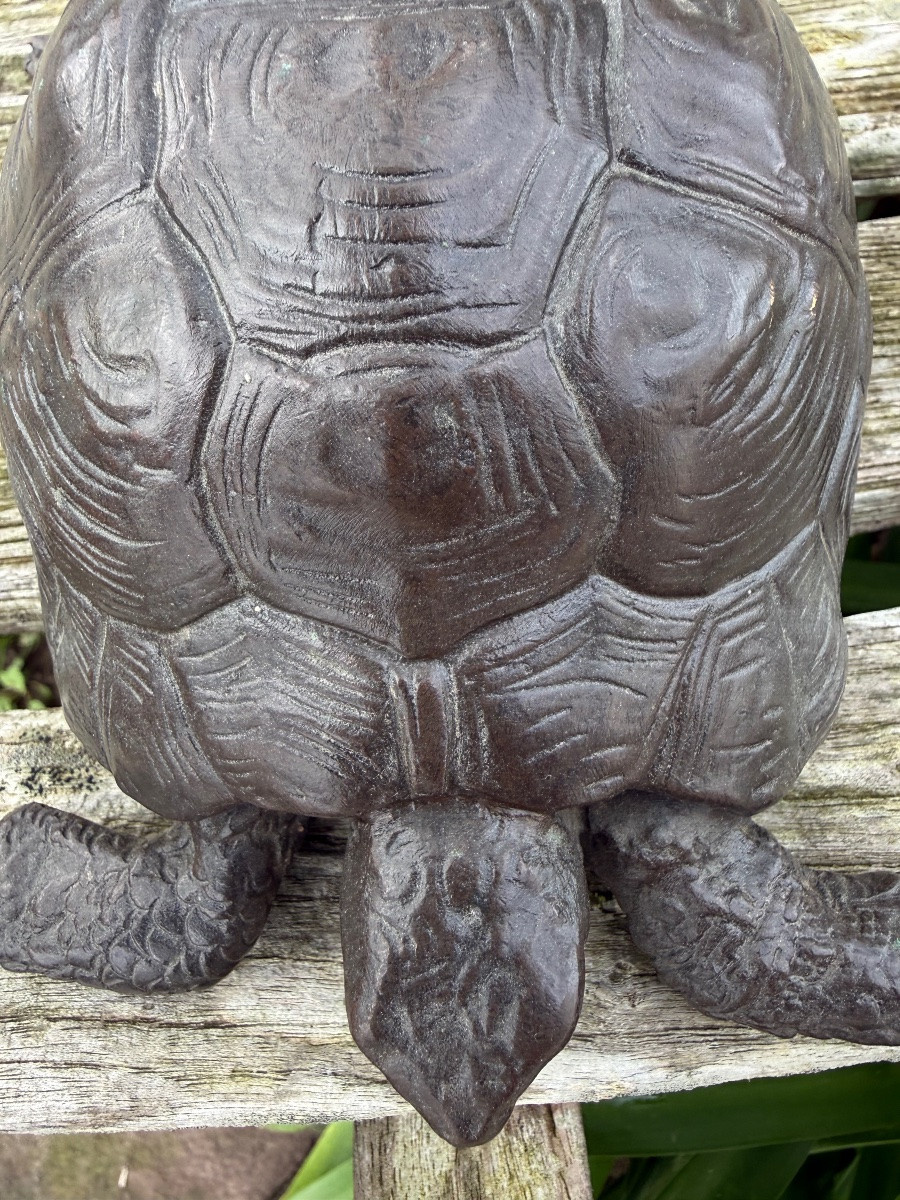 Bronze tortue,XIX ème siècle -photo-1