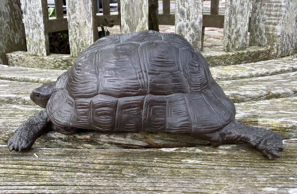 Bronze tortue,XIX ème siècle -photo-3
