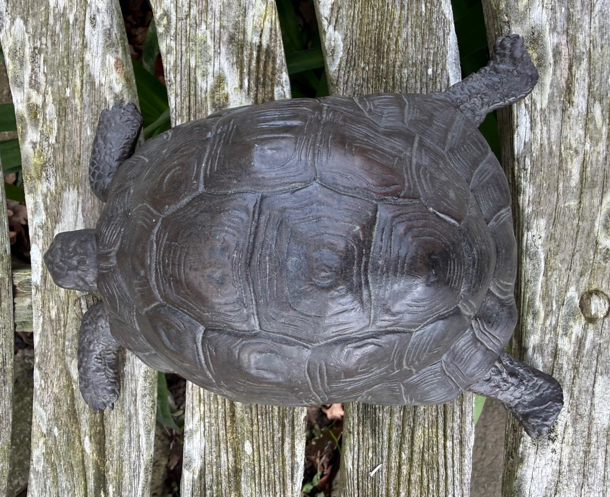 Bronze tortue,XIX ème siècle -photo-4