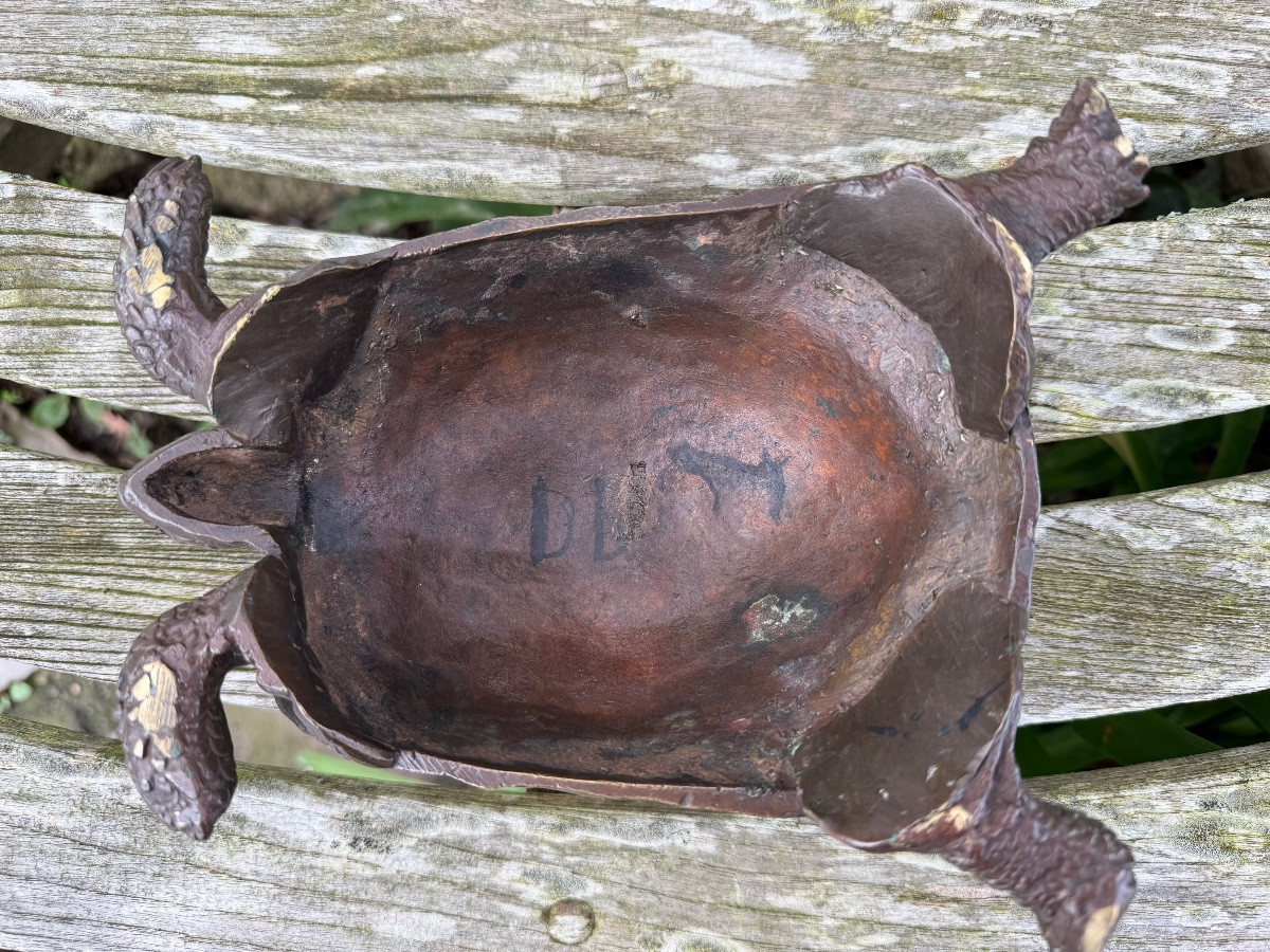 Bronze tortue,XIX ème siècle -photo-5