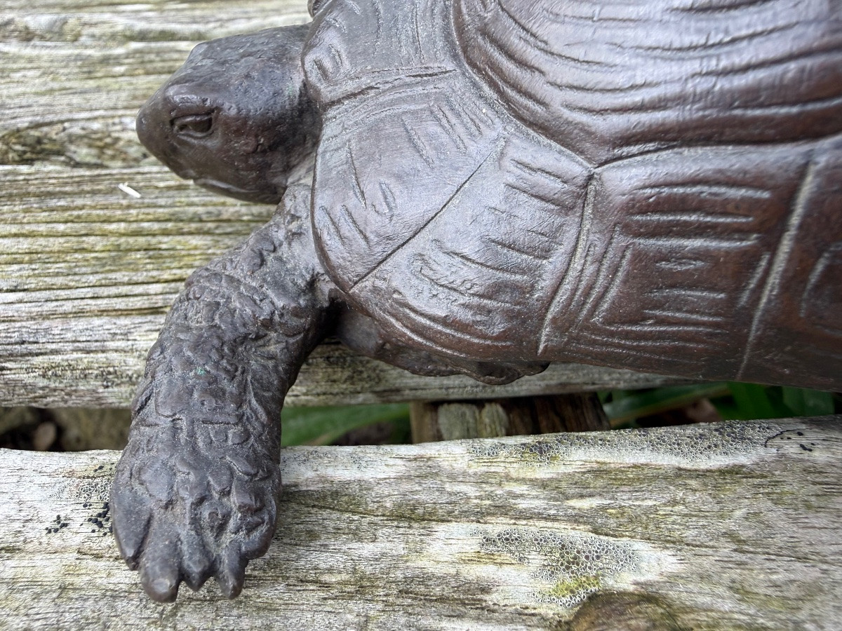 Bronze tortue,XIX ème siècle -photo-6