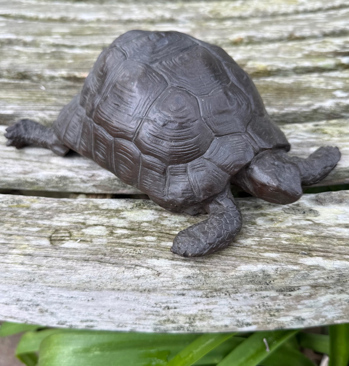 Bronze tortue,XIX ème siècle 