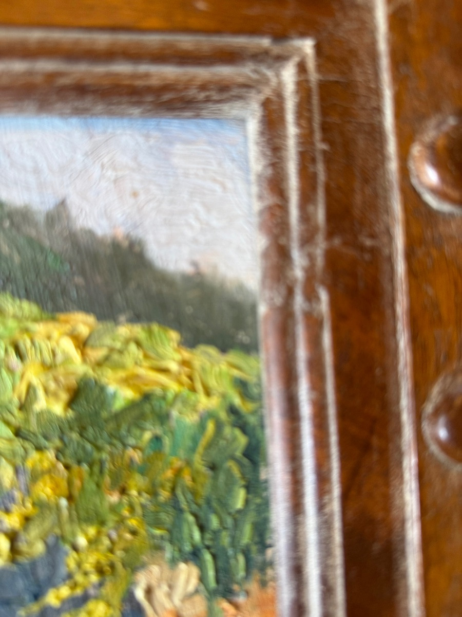 Huile sur panneau encadré ,XX ème siècle -photo-3