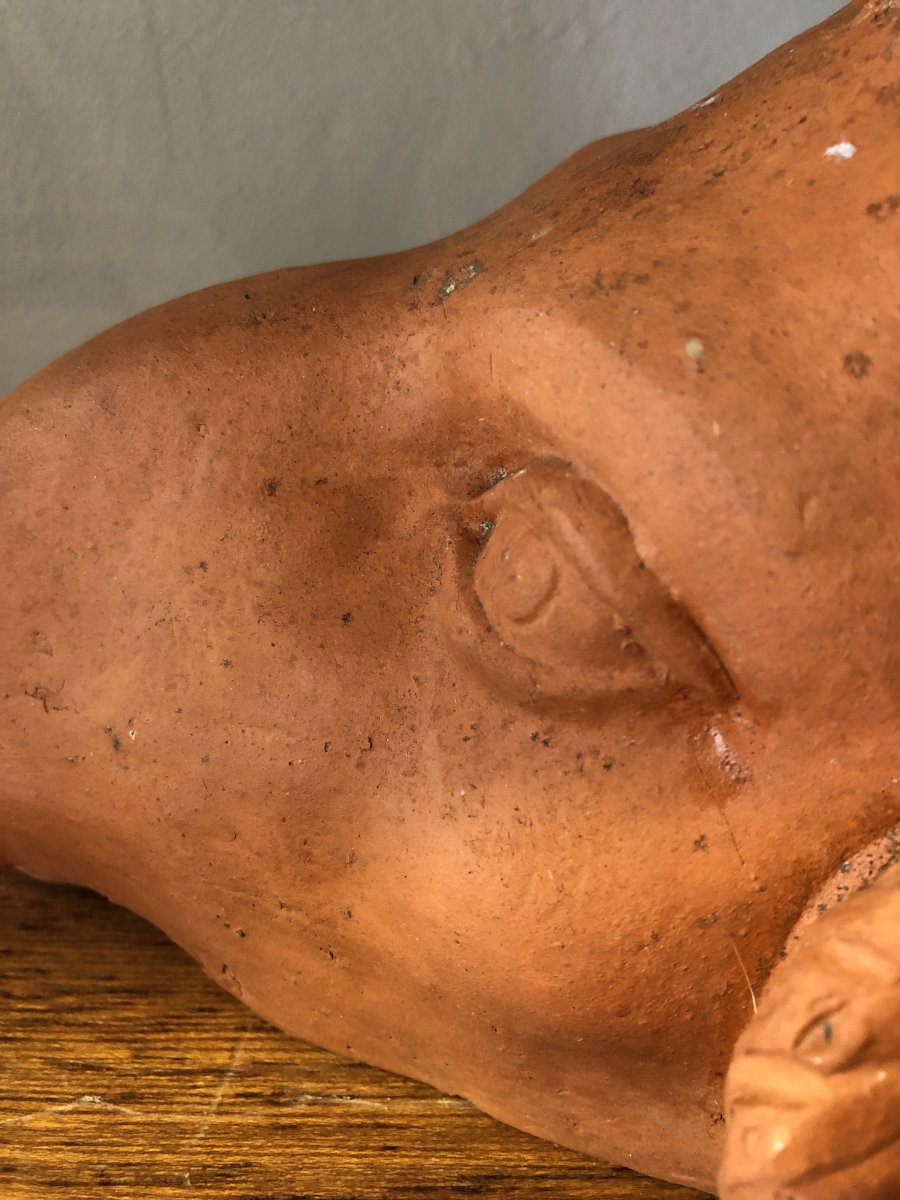 Aries Head, Terracotta, 20th Century-photo-4