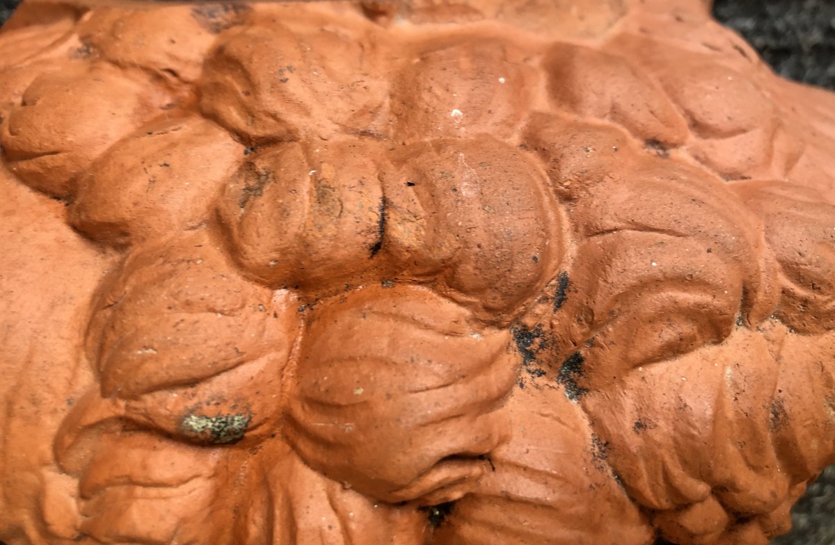 Aries Head, Terracotta, 20th Century-photo-7