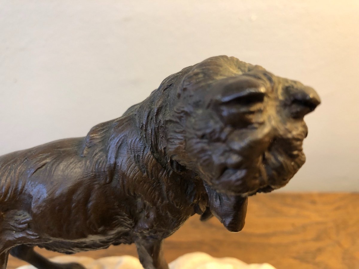 Animal Bronze, Dog, Arson, XIXth Century-photo-2