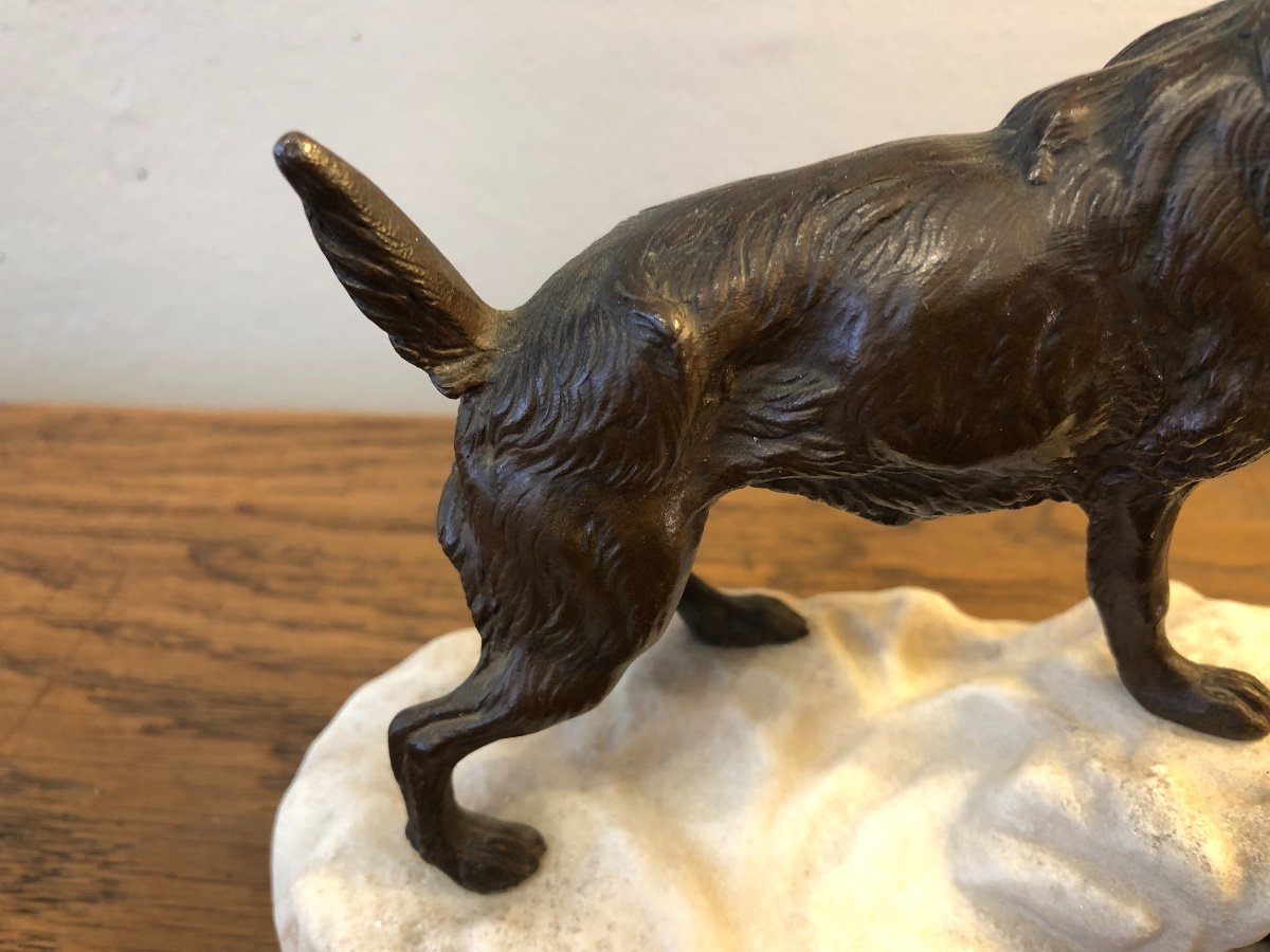 Animal Bronze, Dog, Arson, XIXth Century-photo-4