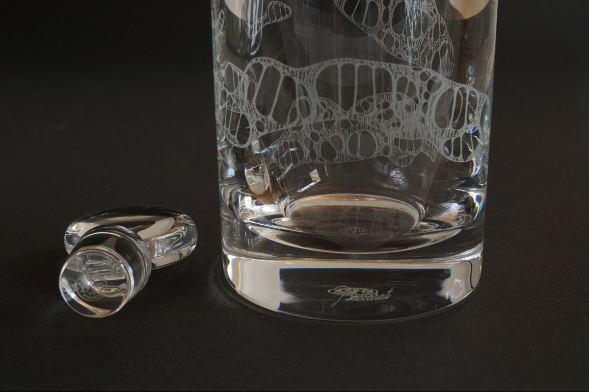 Coffret carafe cristal Baccarat Dionysos-photo-6