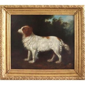 Circle Of George Stubbs, 18th Century English Portrait Of A Water Spaniel In A Landscape
