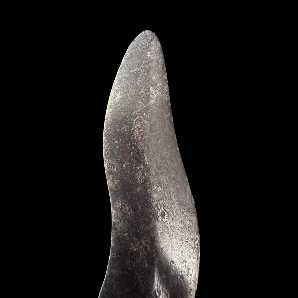 Trident indien-photo-4