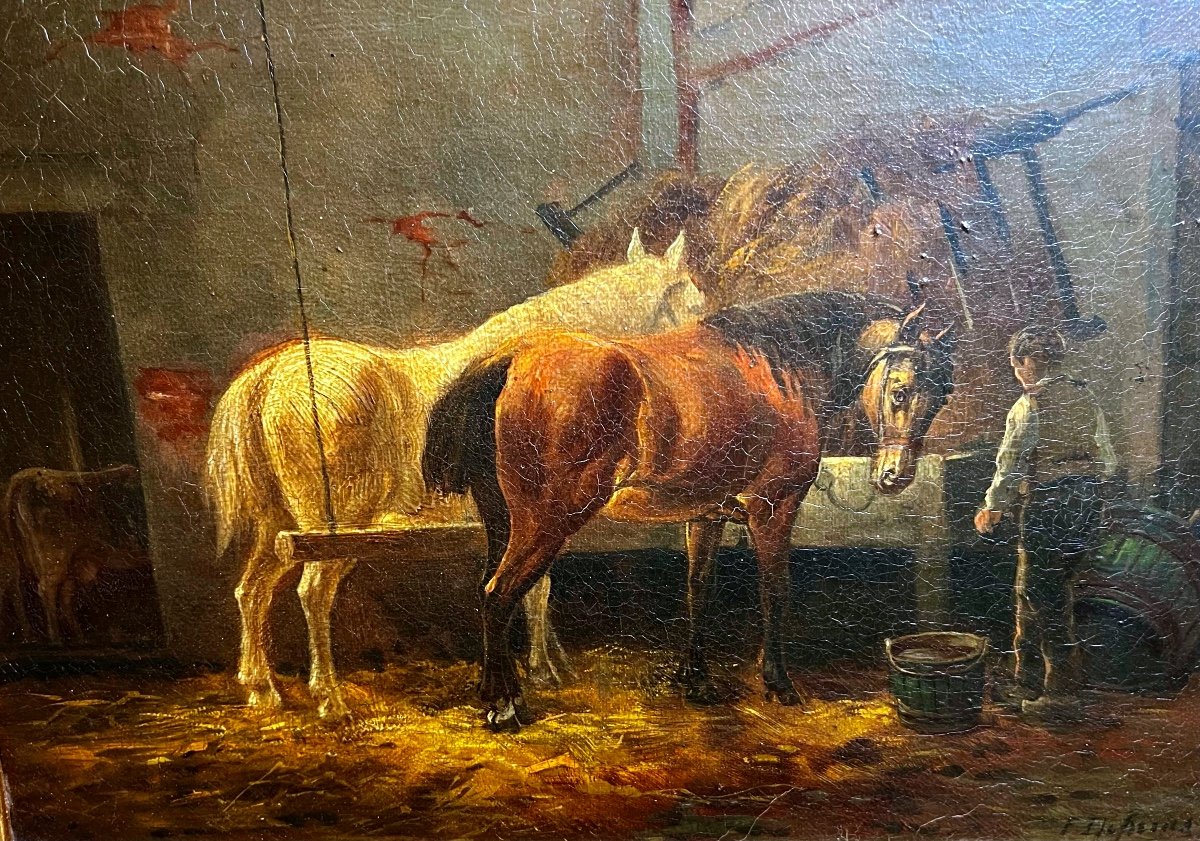 Chevaux Dans L’écurie -photo-2