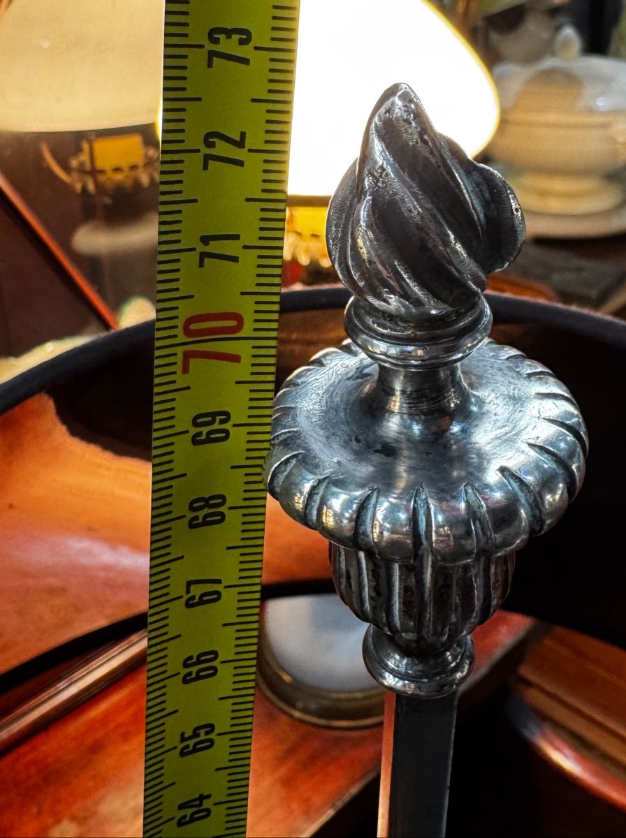 Silver-plated Bronze Hot Water Bottle Lamp -photo-3