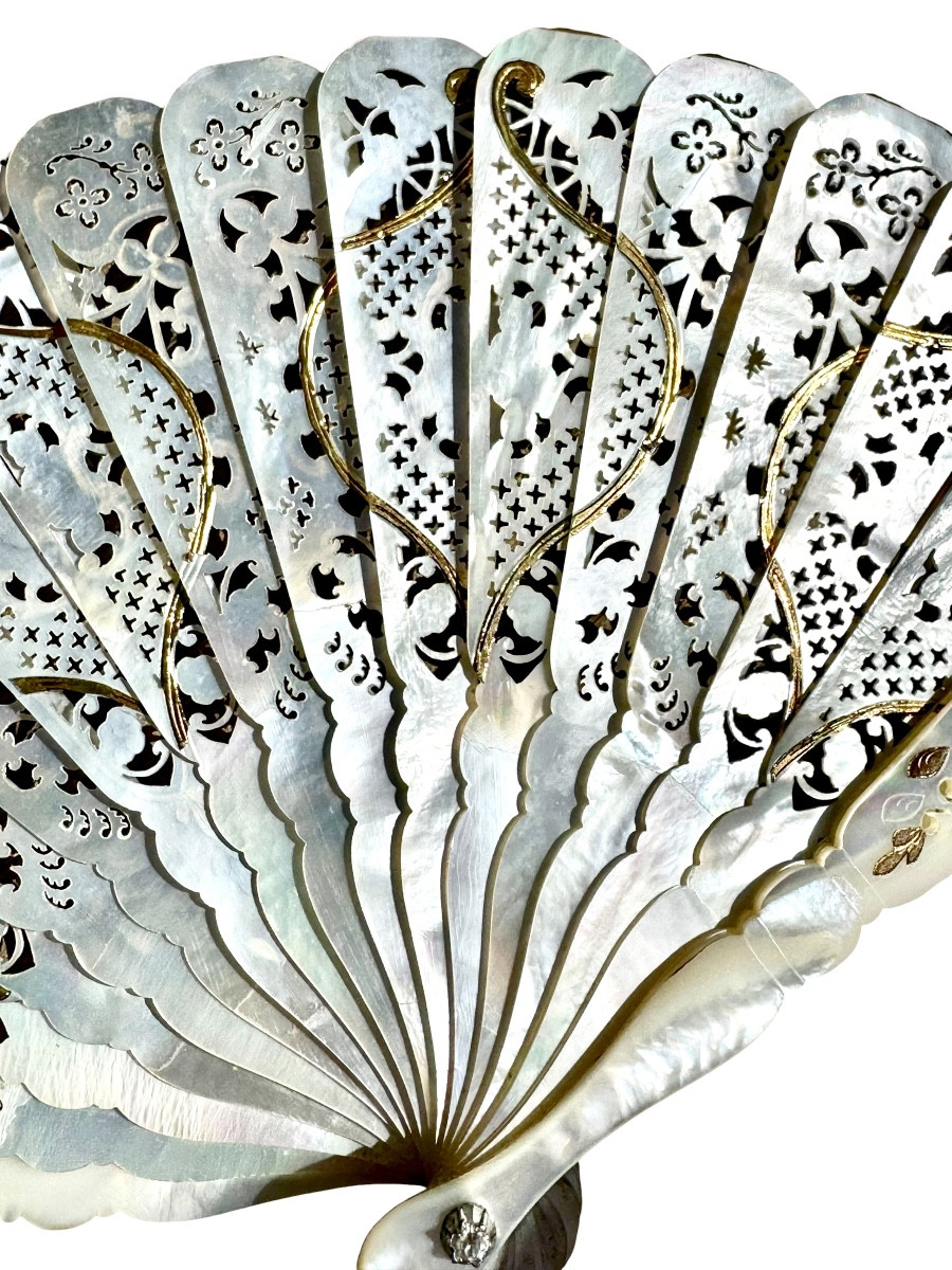 Fan-photo-1