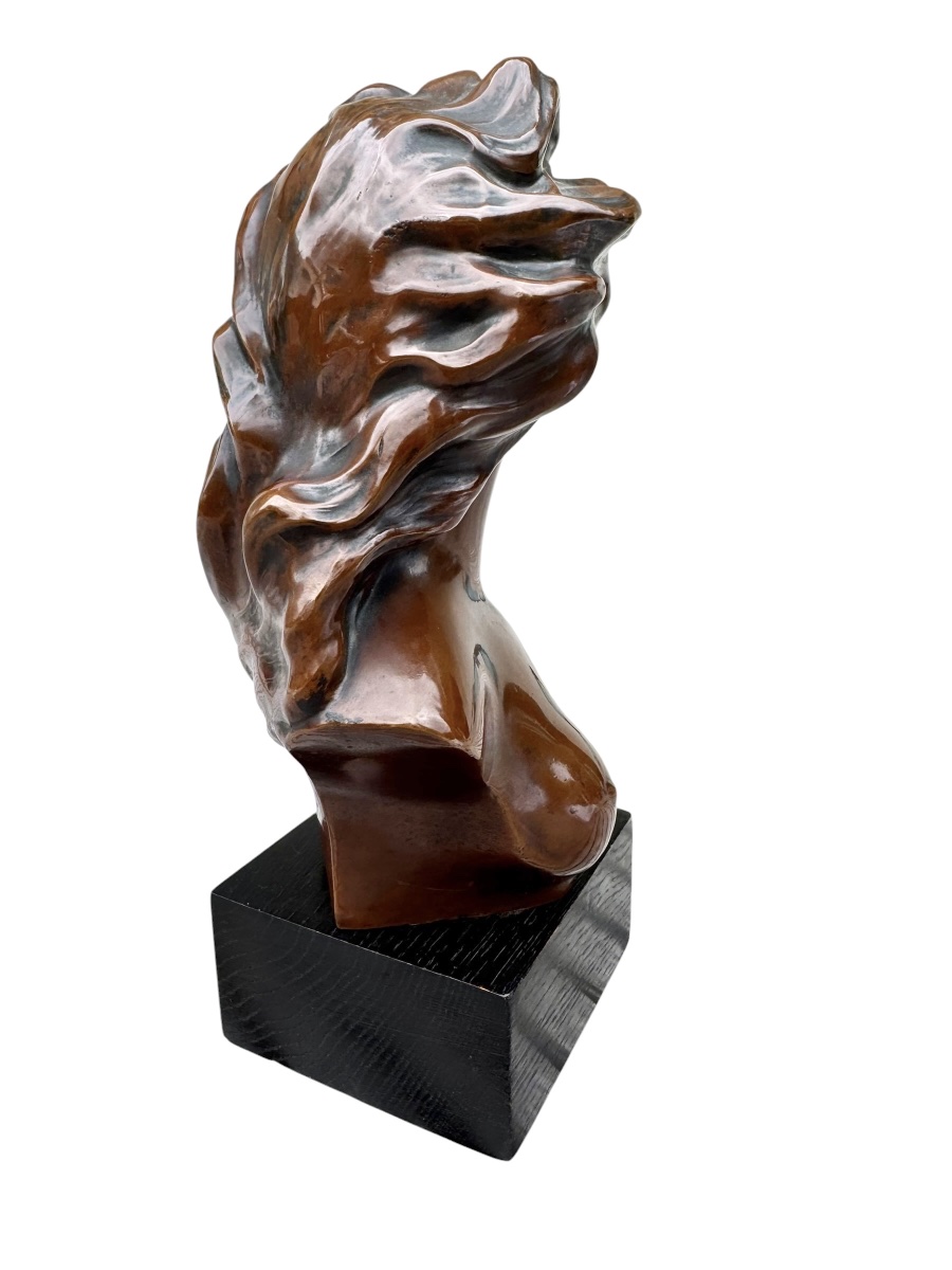 Bronze Bust Of A Young Woman -photo-2