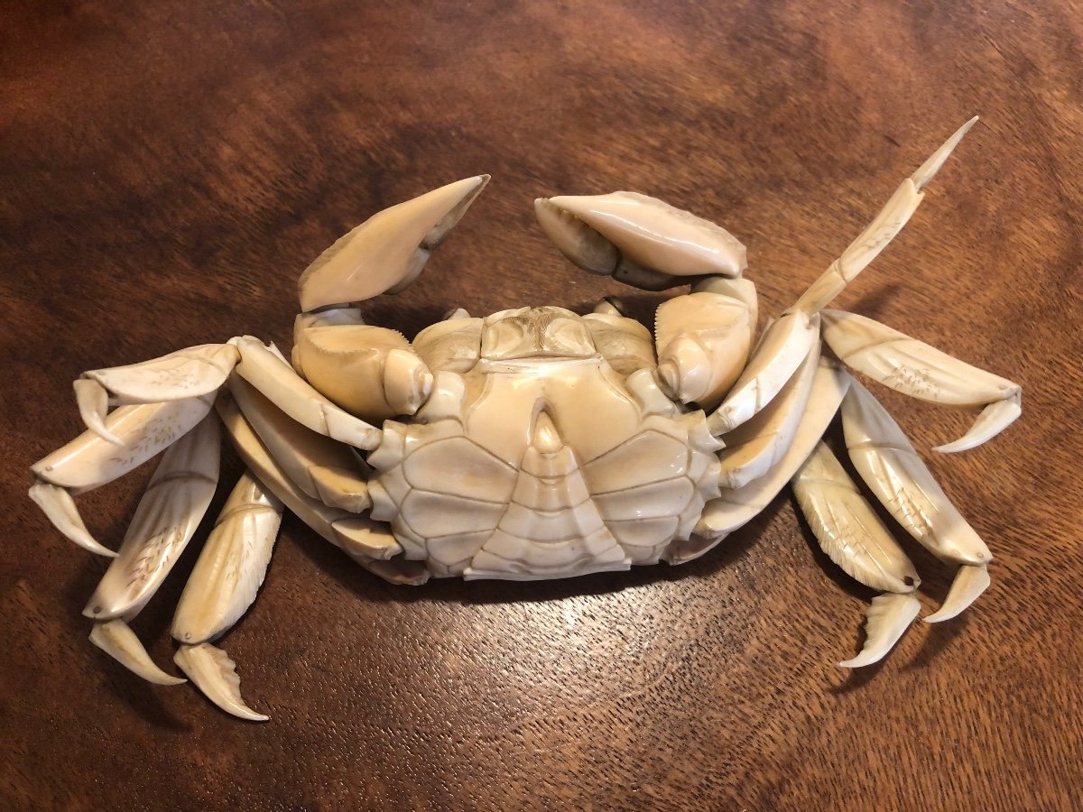 Crabe Japonais En Ivoire -photo-2
