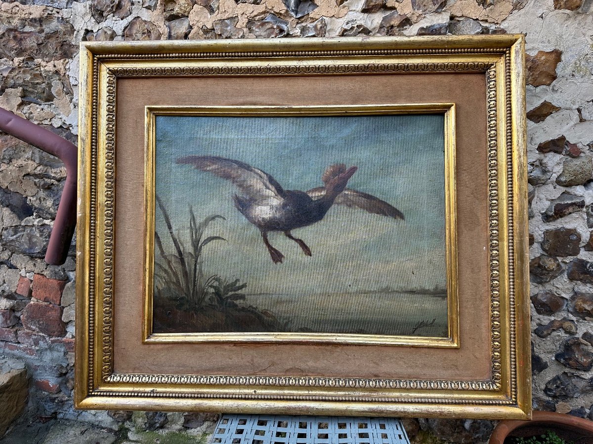 Oil On Canvas "the Crested Duck In Flight"-photo-4