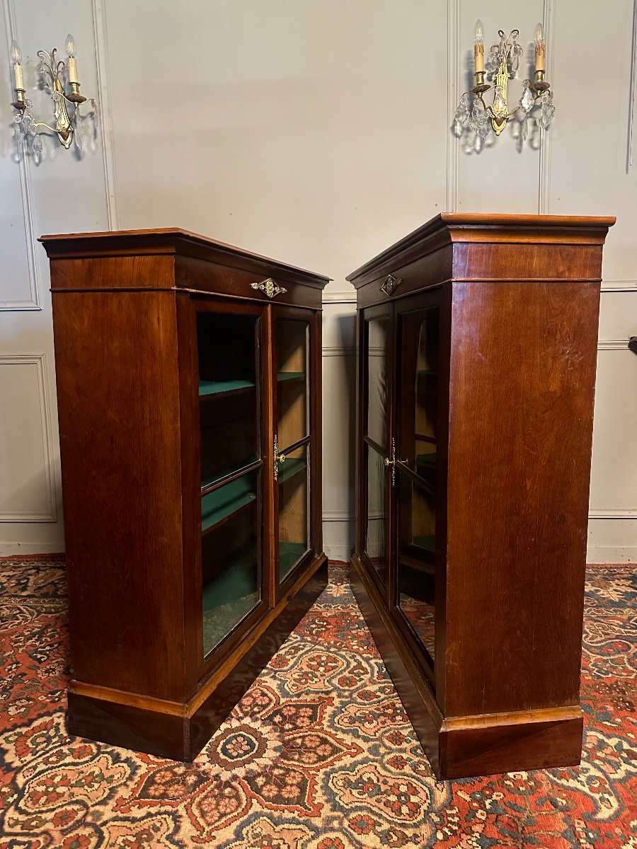 Pair Of Low Bookcases From The Directoire Period. -photo-2