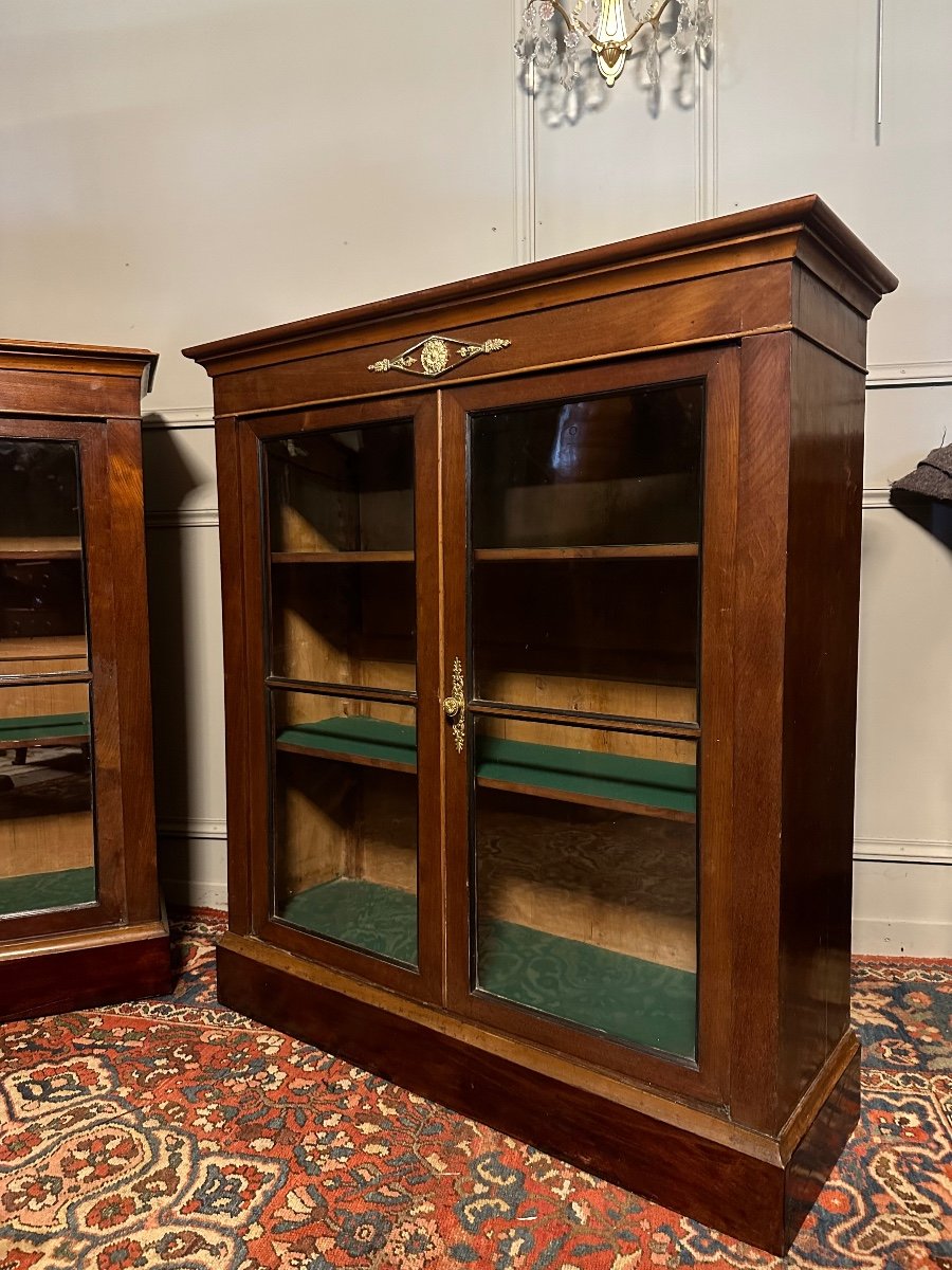 Pair Of Low Bookcases From The Directoire Period. -photo-4