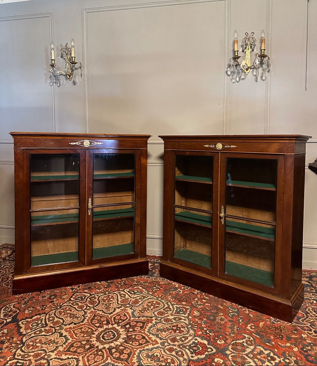Pair Of Low Bookcases From The Directoire Period. -photo-6