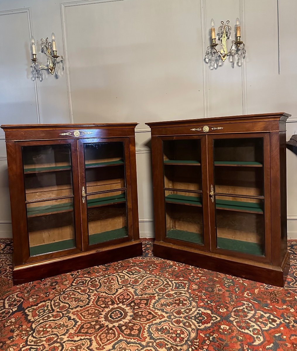 Pair Of Low Bookcases From The Directoire Period. 
