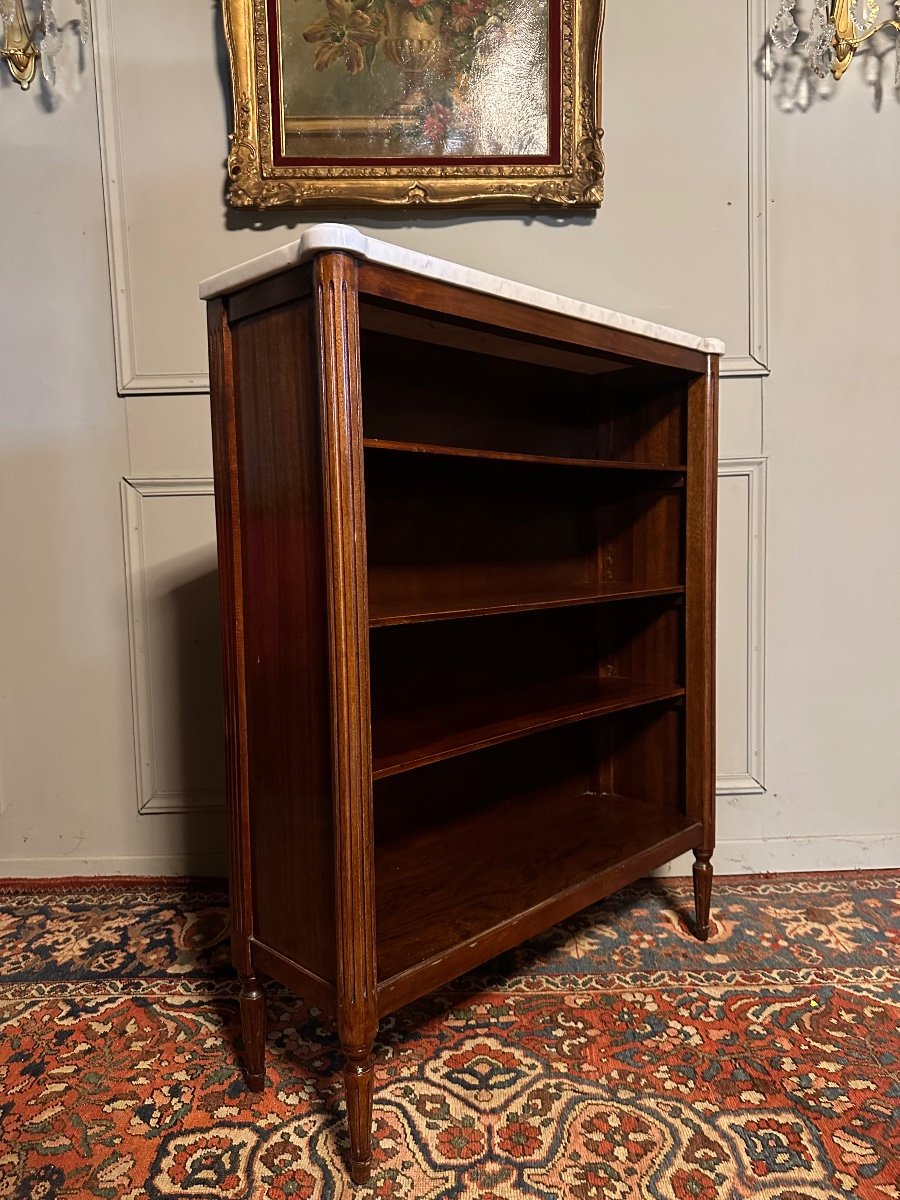 Bibus / Louis XVI Style Bookcase In Mahogany. -photo-3