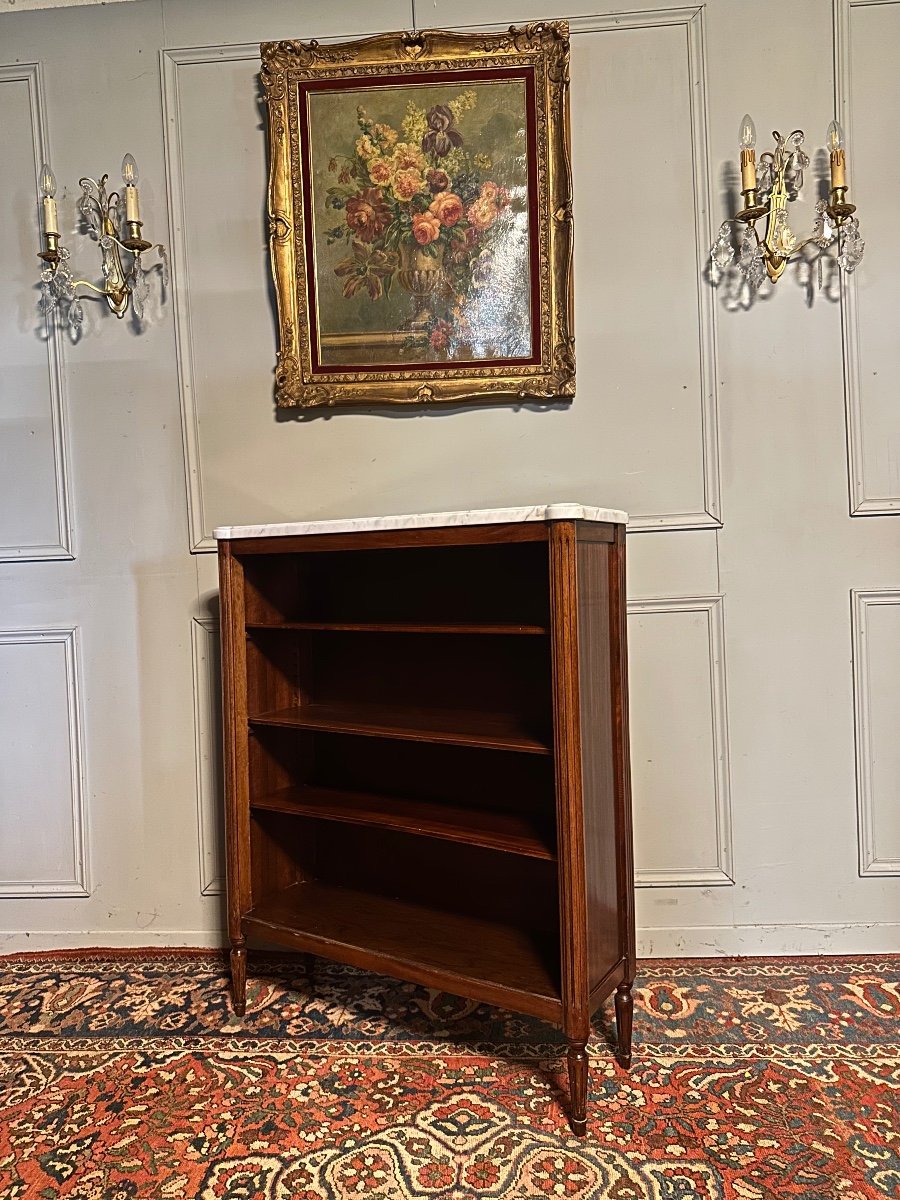 Bibus / Louis XVI Style Bookcase In Mahogany. -photo-2