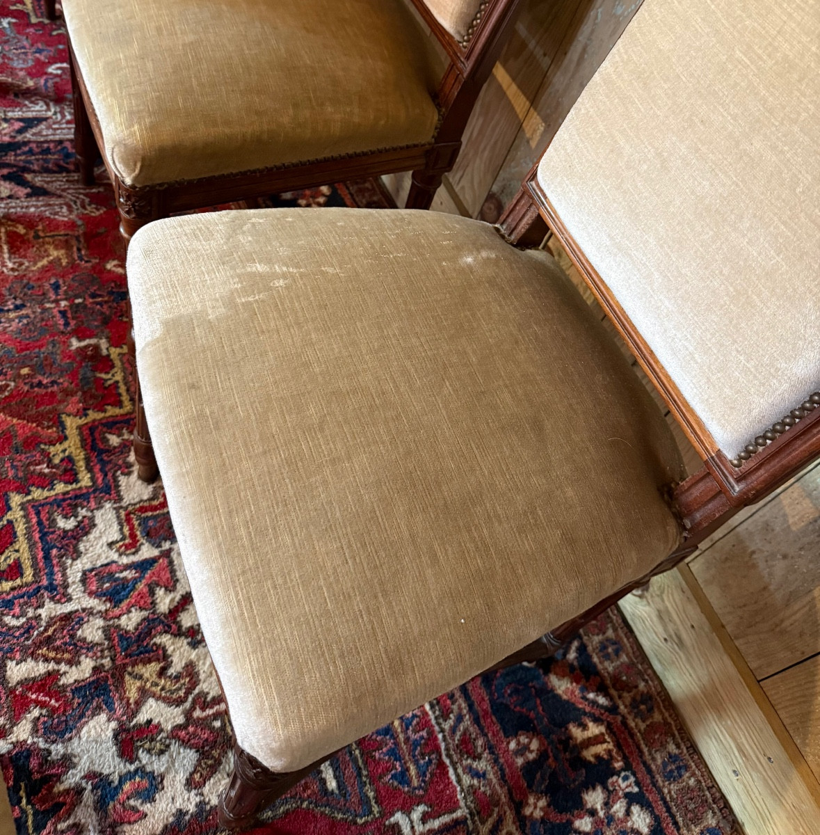 Suite de 8 chaises de style Louis XVI en acajou. -photo-4