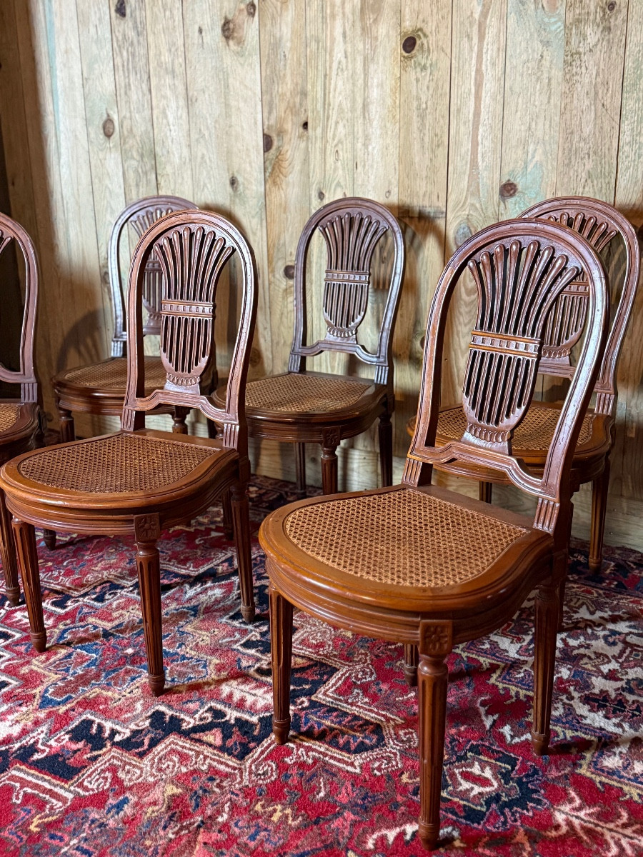 Suite de six chaises de style Louis XVI " A la gerbe de blé". -photo-1