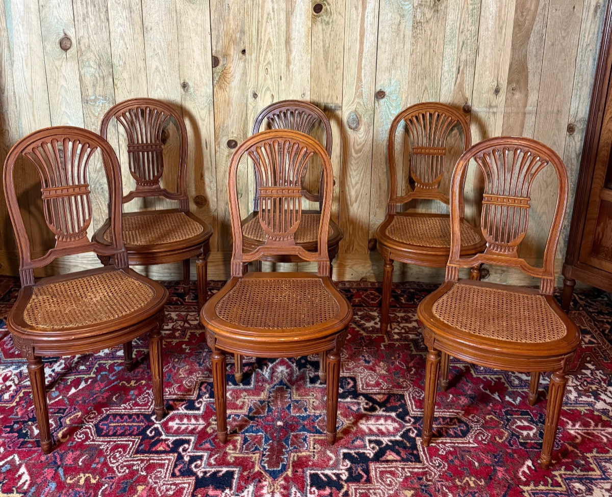 Suite de six chaises de style Louis XVI " A la gerbe de blé". 