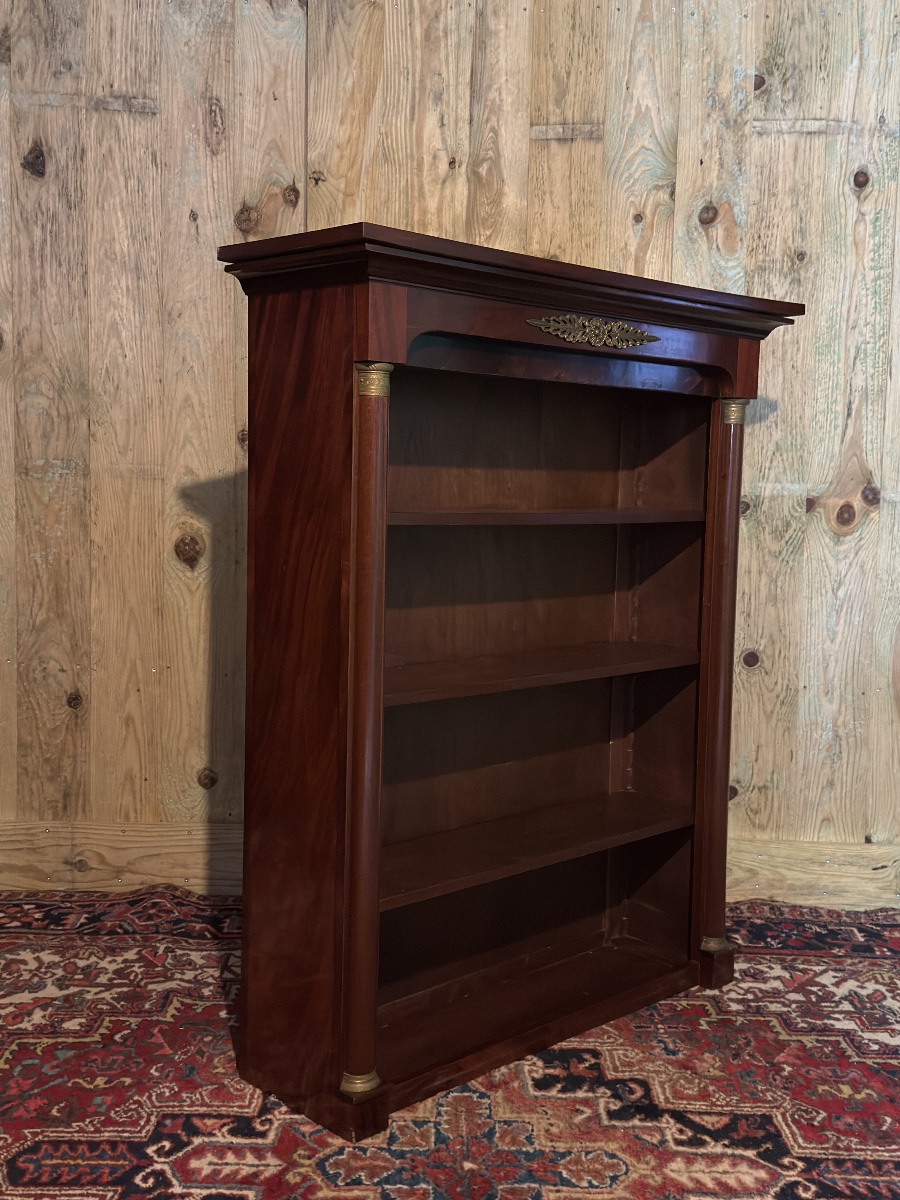 Bibus Empire Library-photo-2