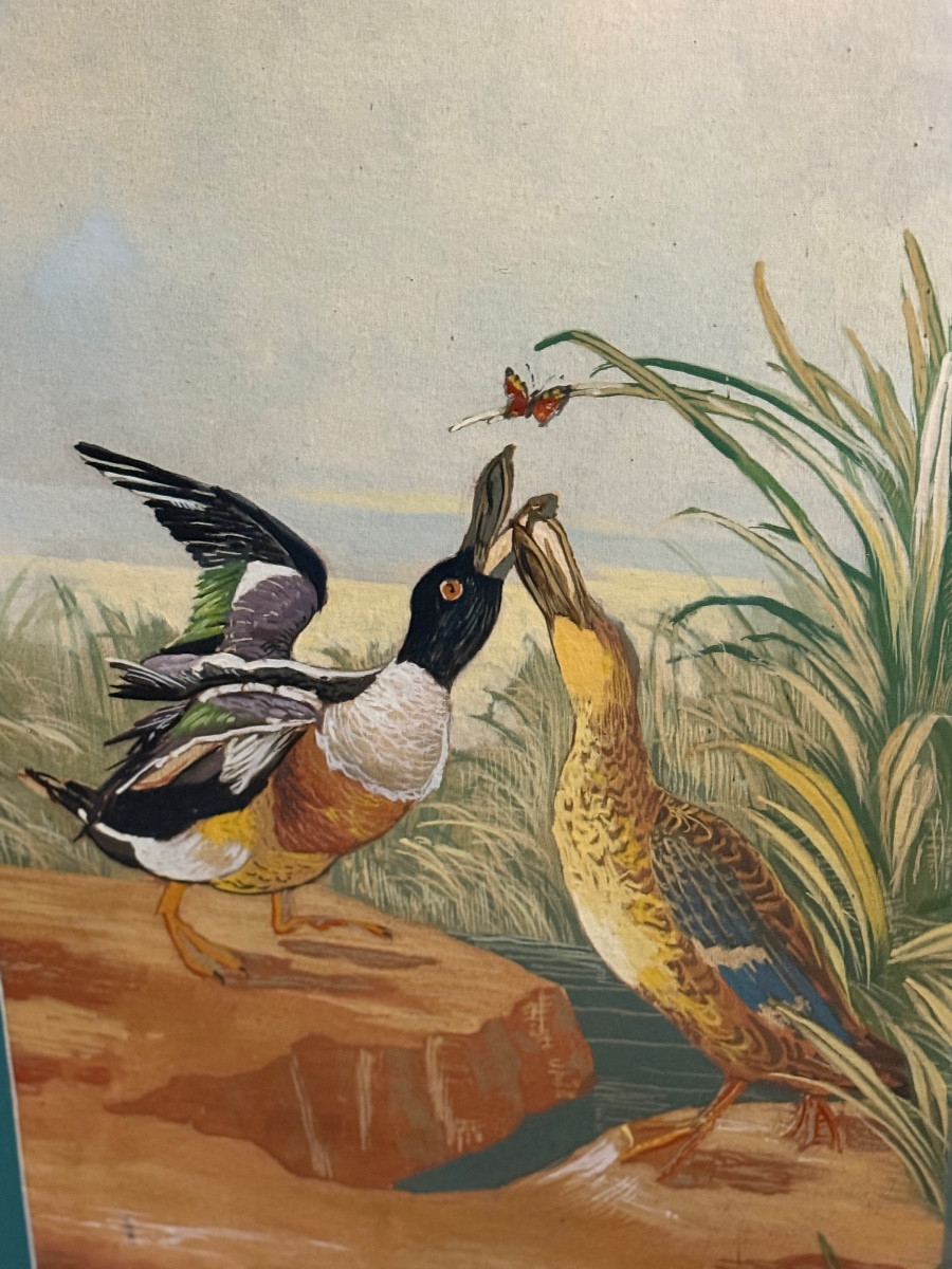 Grand paravent de chez" Sineux frères " oiseaux et fleurs. -photo-1