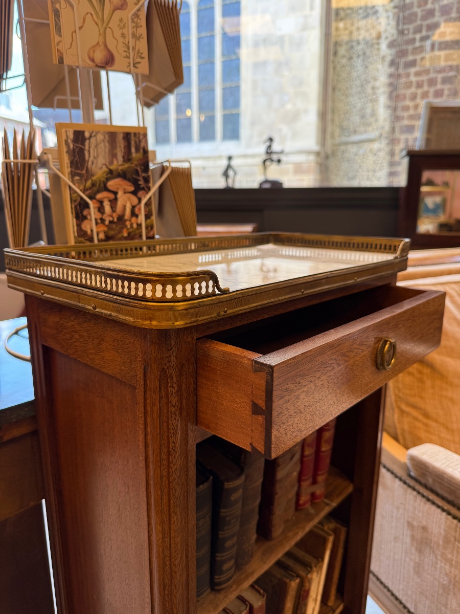 Bibus bibliothèque de style Louis XVI-photo-2