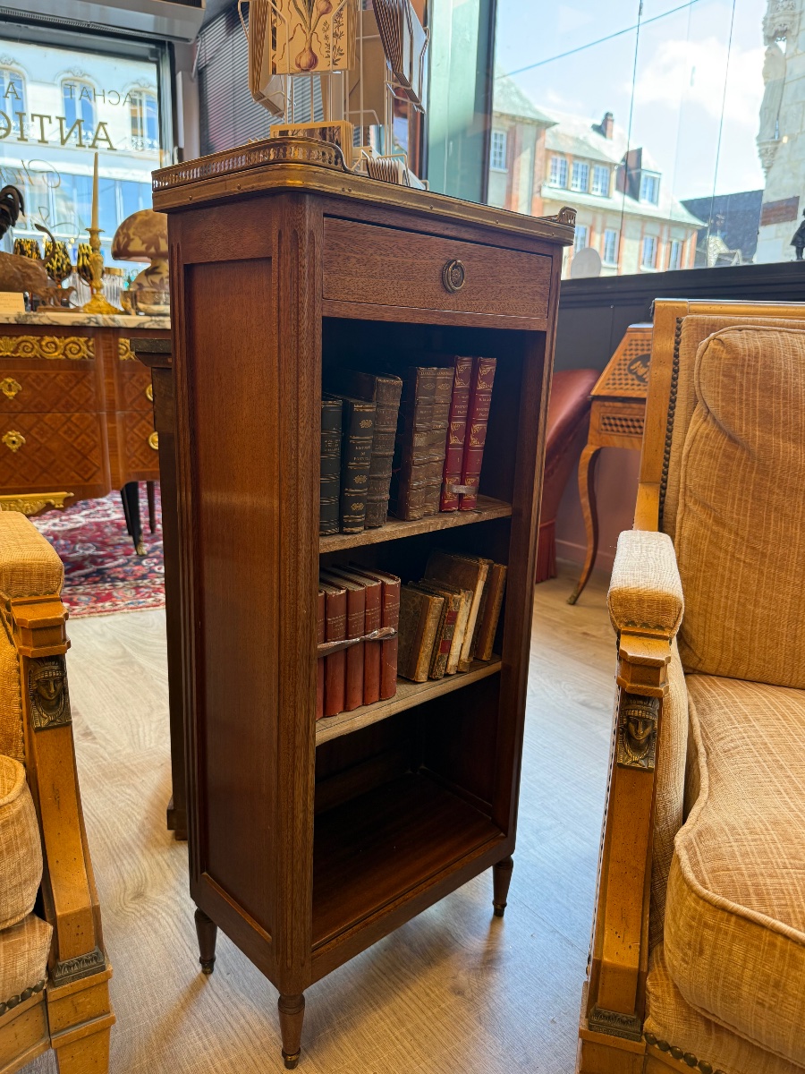 Bibus bibliothèque de style Louis XVI-photo-4