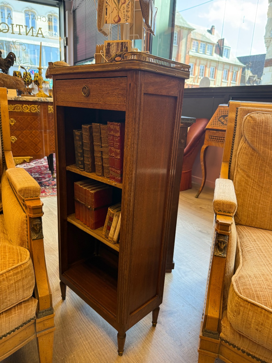 Bibus bibliothèque de style Louis XVI-photo-1