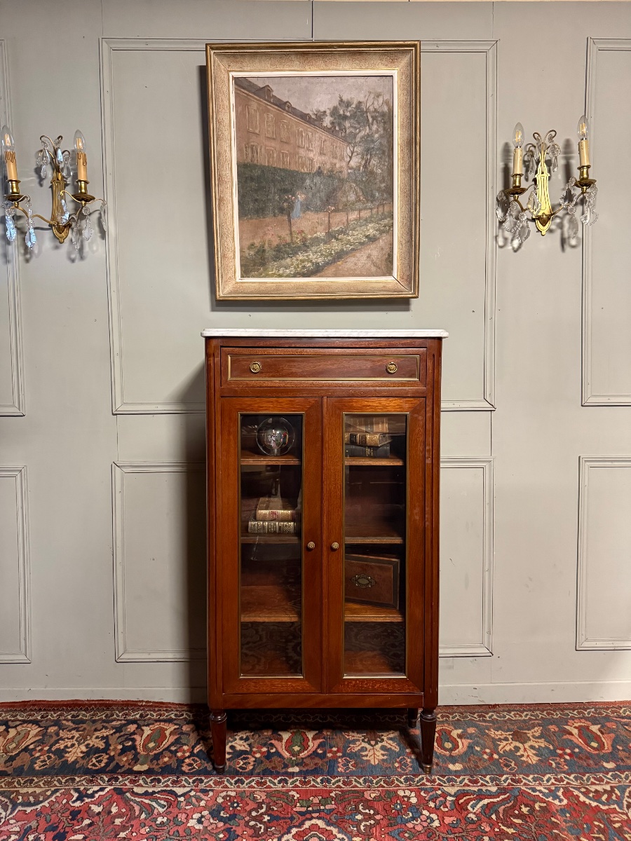 Louis XVI-style Bibus Display Cabinet, 20th Century 