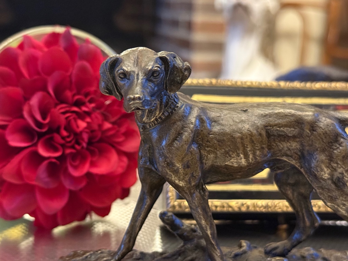 Bronze miniature Chien à l’arrêt signé Mêne XIX ème -photo-3