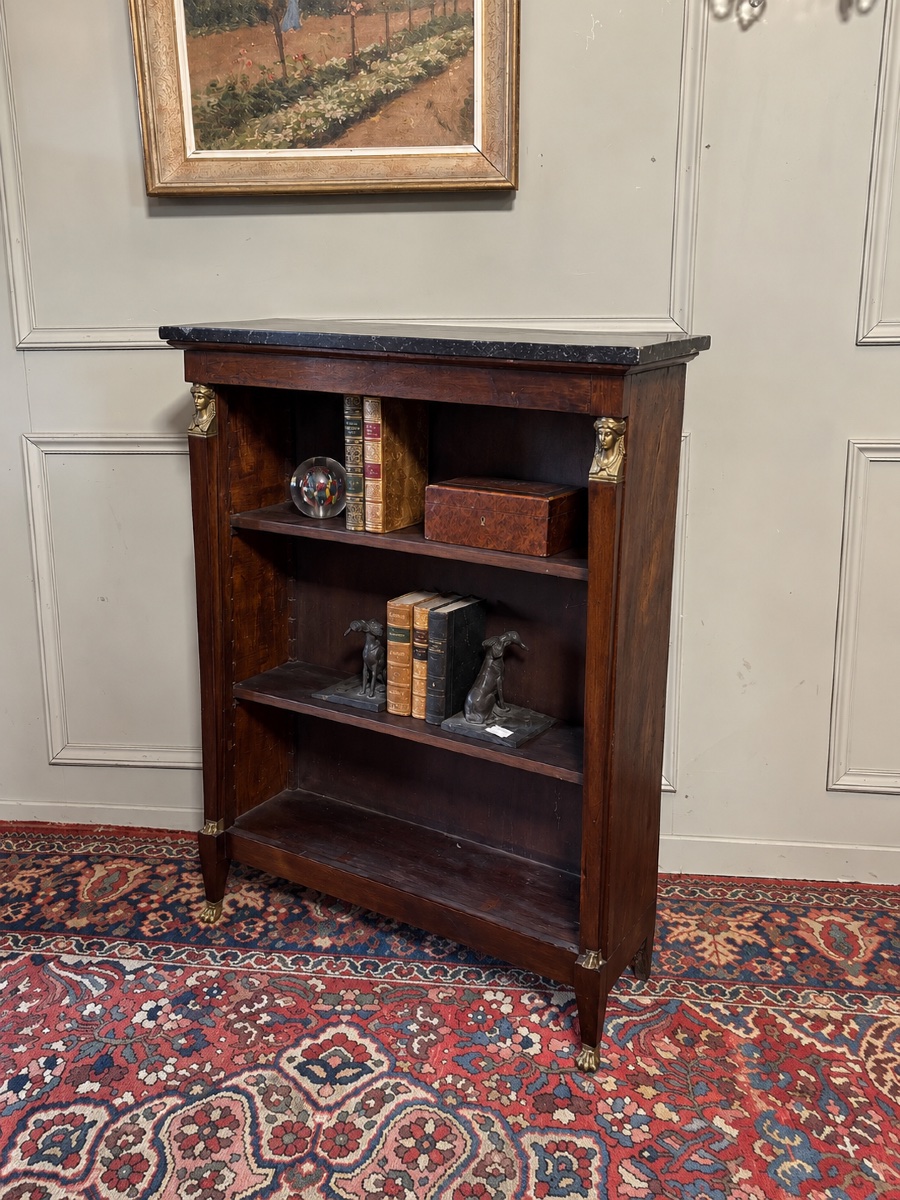 Bibus Empire-style Bookcase—brought Back From Egypt -photo-4