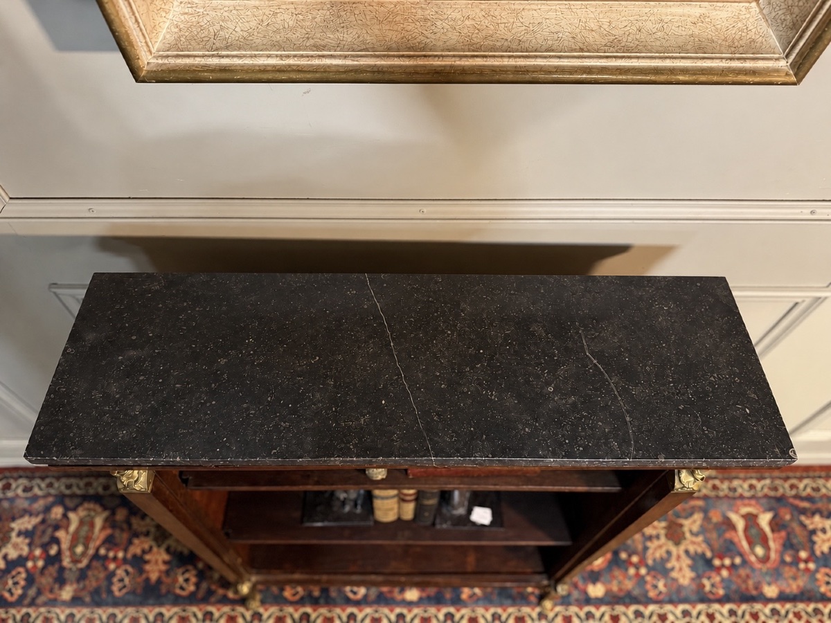 Bibus Empire-style Bookcase—brought Back From Egypt -photo-2