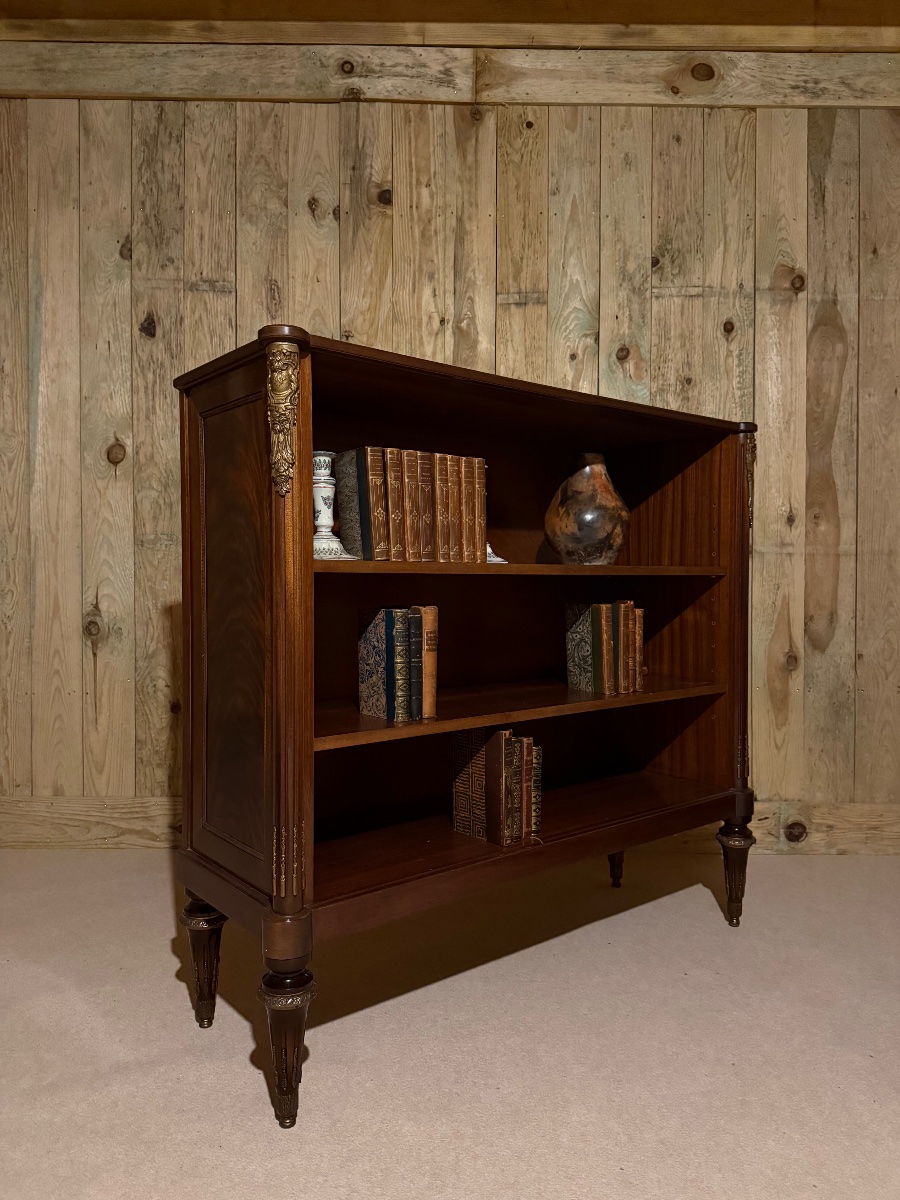 Bibus bibliothèque de style Louis XVI, d’époque XX ème -photo-2