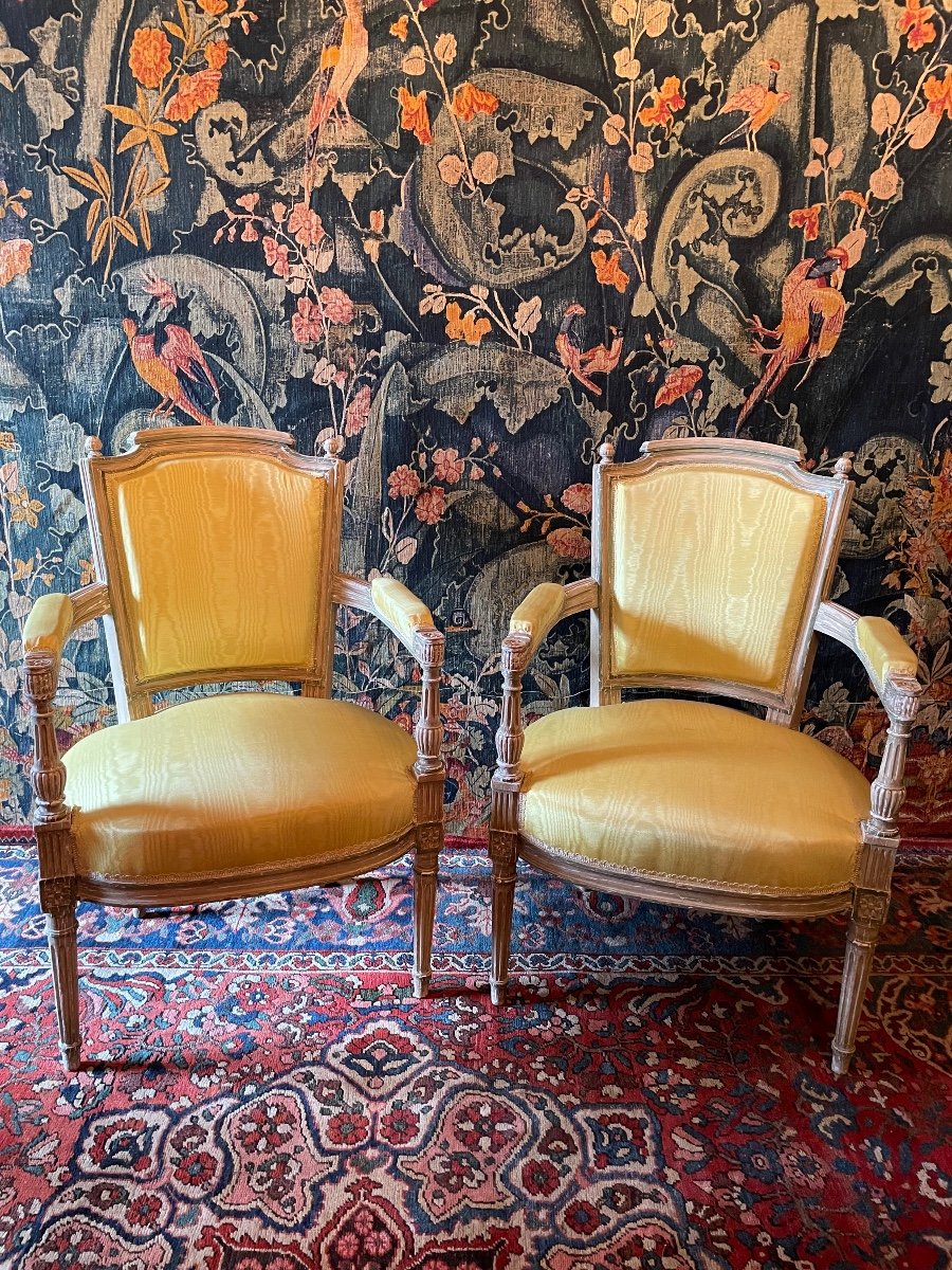 Pair Of Louis XVI Style Cabriolet Armchairs.