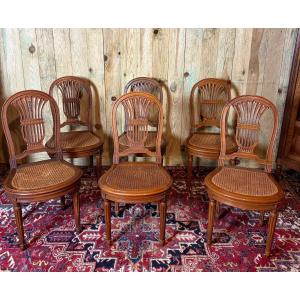 Suite de six chaises de style Louis XVI " A la gerbe de blé". 