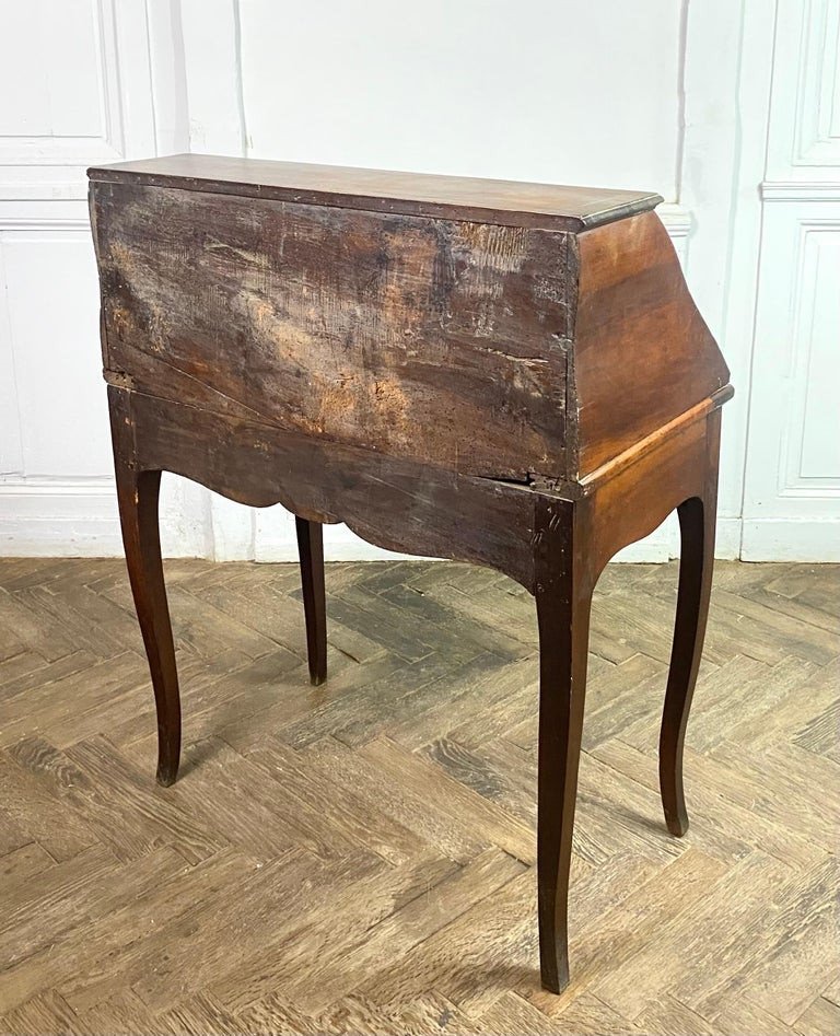 Scriban Desk, Donkey Desk, Sloping Desk, Secretary - Louis XV Period - France 18th-photo-7