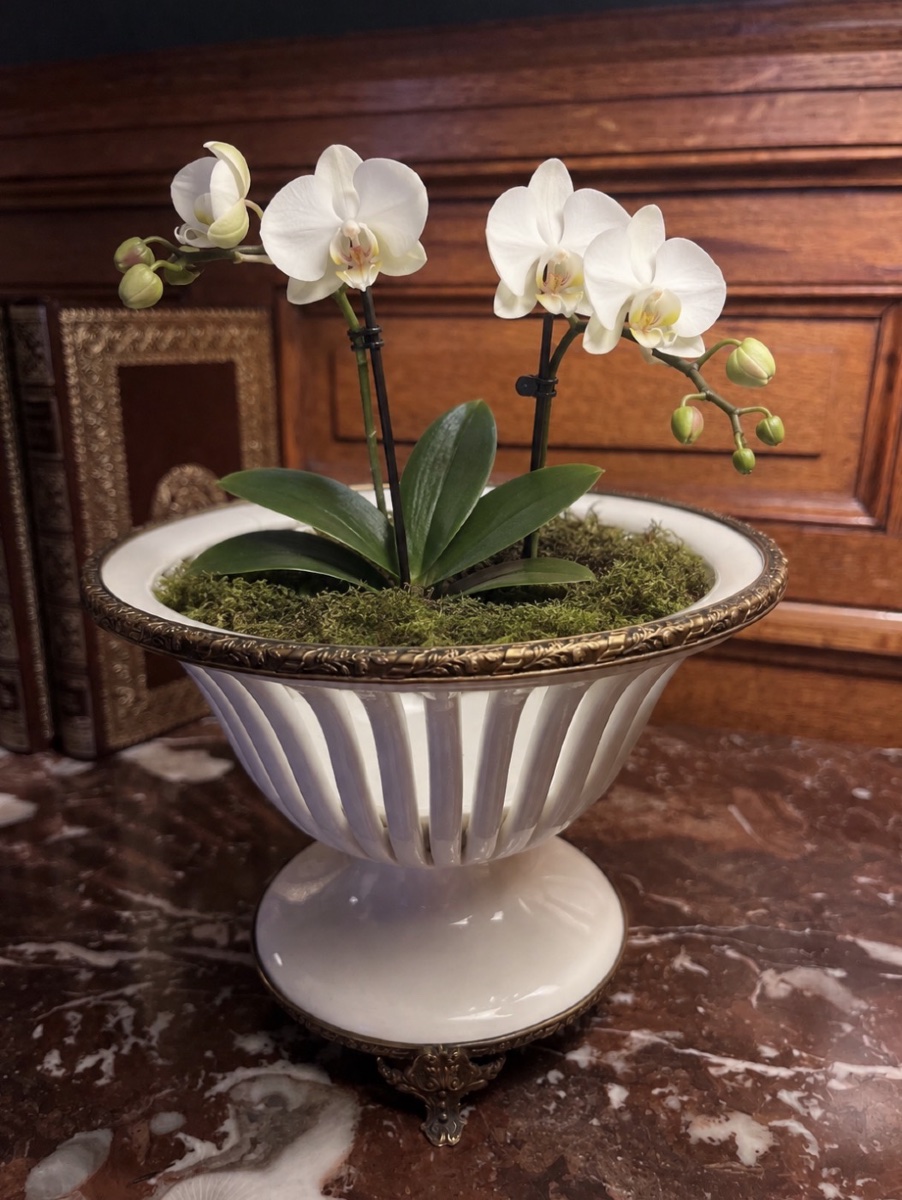 Coupe En Porcelaine Ou Vide Poche - XXème siècle 