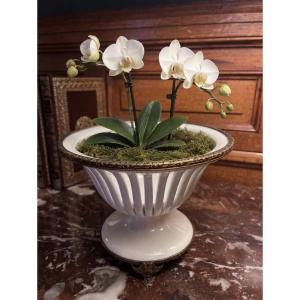 Porcelain Bowl Or Trays - 20th Century