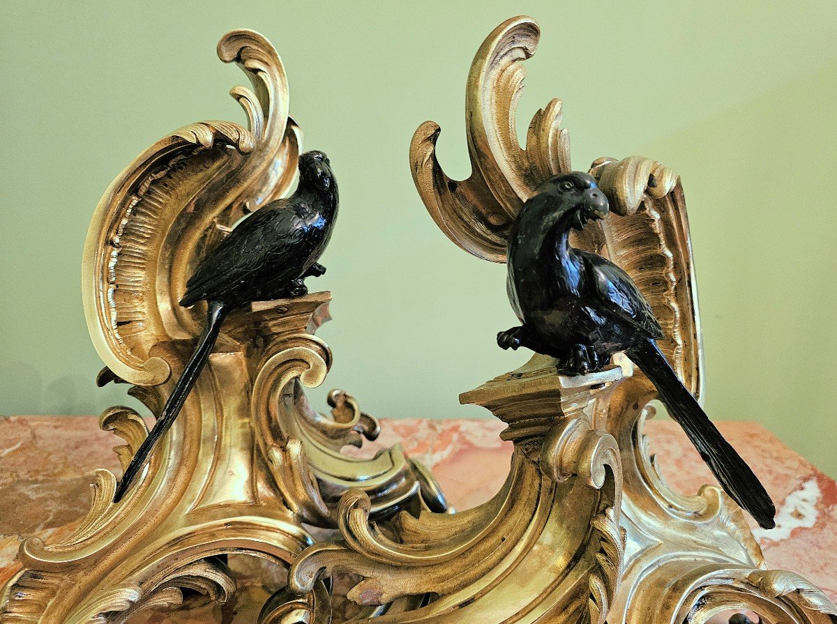 Louis XV Andirons Circa 1750 Jacques Caffieri Attr. H. 34 Cm, L. 30 Cm, D. 14 Cm-photo-1